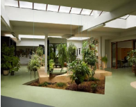 Eco Friendly Ideas for Office Spaces